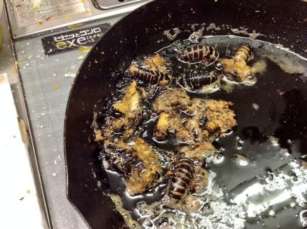 地球少年 篠原祐太 Na Twitteru Ihayato ゴキブリ唐揚げはサクサクしてて美味しいです 今度ぜひ