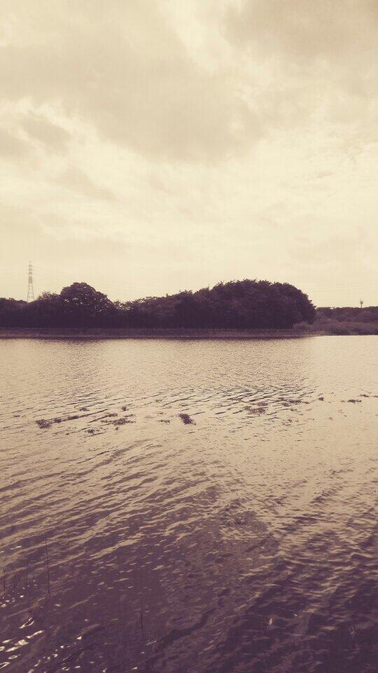 manabu420's tweet photo. きもちーぃこの時期は涼しくていいですね♪ http://t.co/S5YV2i45GP