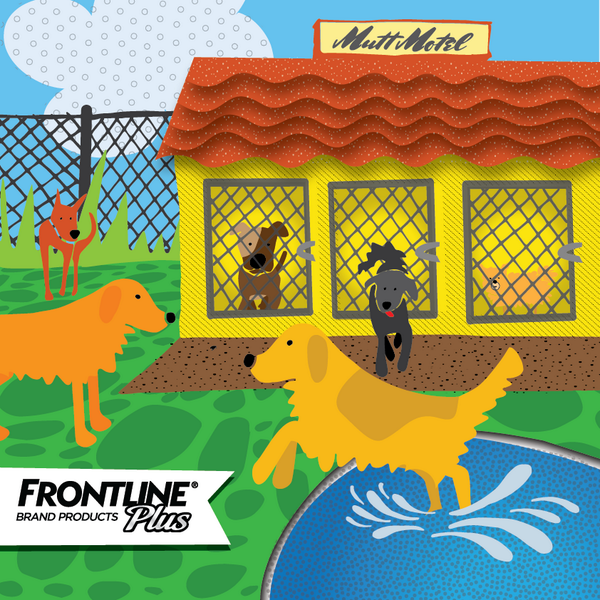 cesarmillan's tweet image. Has your dog ever come home from a boarding facility with fleas? #frontlineplus #game