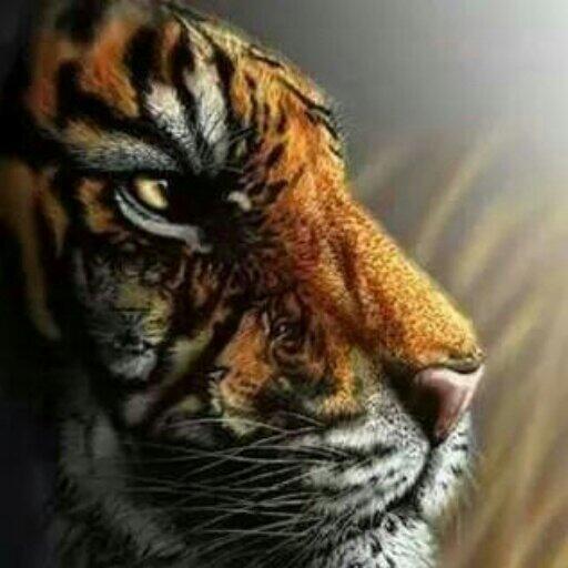yogibare's tweet photo. #Pensive http://t.co/jyQelhQbnV