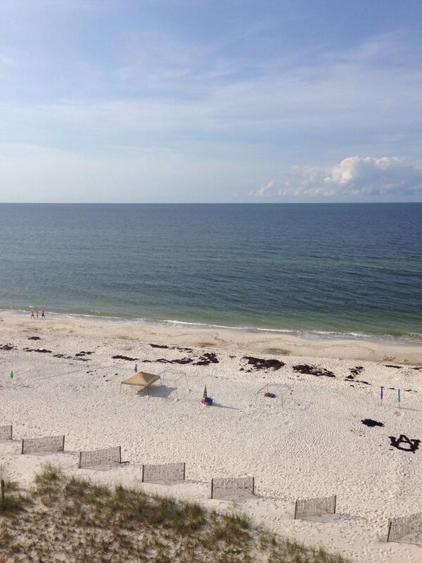 JoniBarrett's tweet photo. Just another day at the beach. http://t.co/UrY7xQZFts