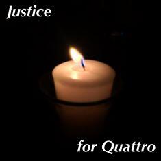 catgirl321's tweet photo. RT: @Quattrothecat We will keep fighting, there is no way we will let Quattro die in vain http://t.co/qXv8jISou8 http://t.co/bY3MzvlvHz
#wlf
