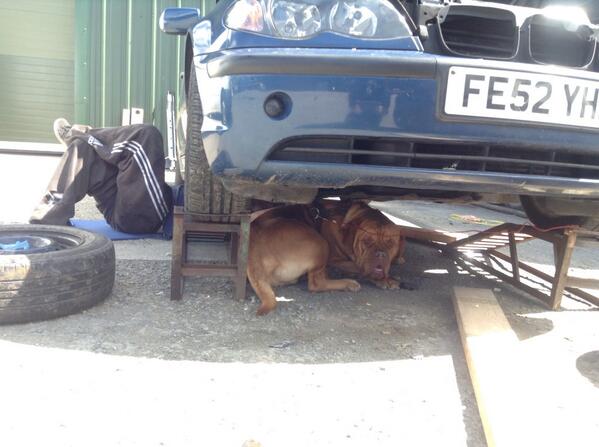 ChrisCodie's tweet image. He helps me fix my car