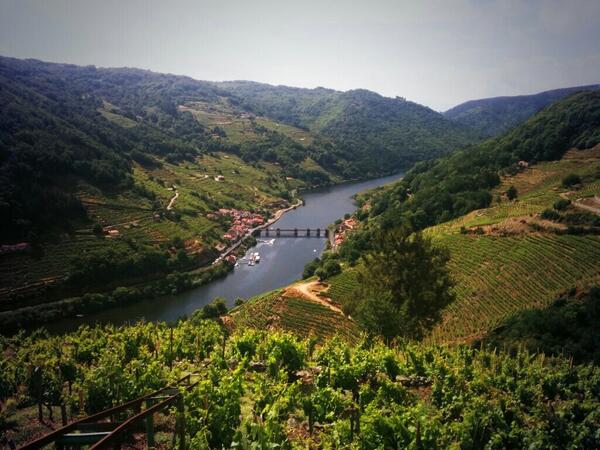 ManuBabarro's tweet photo. Río Miño. Belesar. Precioso!! #tapasblogs #vinosacra http://t.co/kJCCmjxV8W