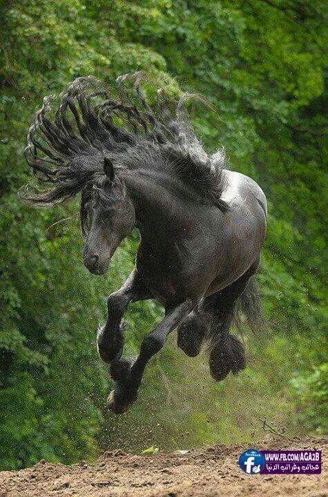 010ghf tweet picture