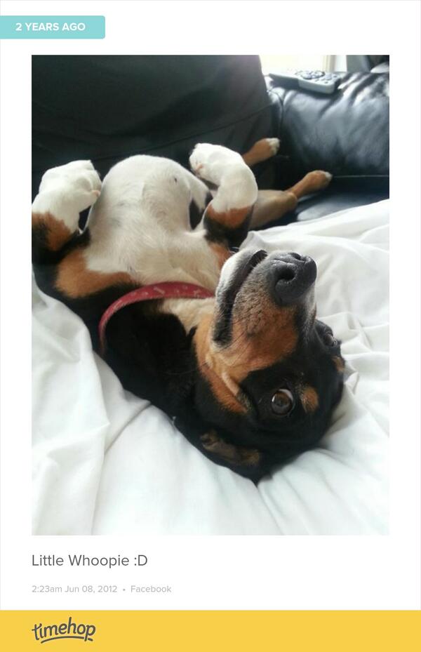 Fenningo's tweet photo. Posted this two years ago today 😭 miss this little weirdo http://t.co/zj8xwHPSIg http://t.co/u9yJE2TfpP