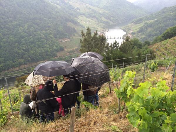 Guisándome la vida (@guisandomela) on Twitter photo #RibeiraSacra en@TapasBlogs con día típica galician Style <a href="/derechupete/">Recetas de rechupete</a> <a href="/Nimataniengorda/">Ni mata ni engorda</a> <a href="/obandullo/">Víctor O Bandullo</a> <a href="/Oscar_de_Toro/">Oscar de Toro</a> #RibeiraSacra en@TapasBlogs con día típica galician Style <a href="/derechupete/">Recetas de rechupete</a> <a href="/Nimataniengorda/">Ni mata ni engorda</a> <a href="/obandullo/">Víctor O Bandullo</a> <a href="/Oscar_de_Toro/">Oscar de Toro</a>