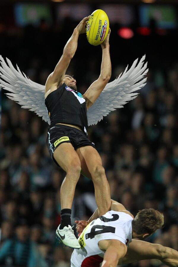 PAFC's tweet photo. #WINGS http://t.co/fKwawcGX1N