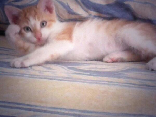 InessOrtega's tweet photo. .peroooo q bonito es!!!! @alfonso_ra_lo http://t.co/rNkkR6Pf35