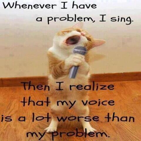joebonsall's tweet photo. “@densany: @joebonsall You certainly DON'T have this problem! http://t.co/nllLyu9HSu” haha