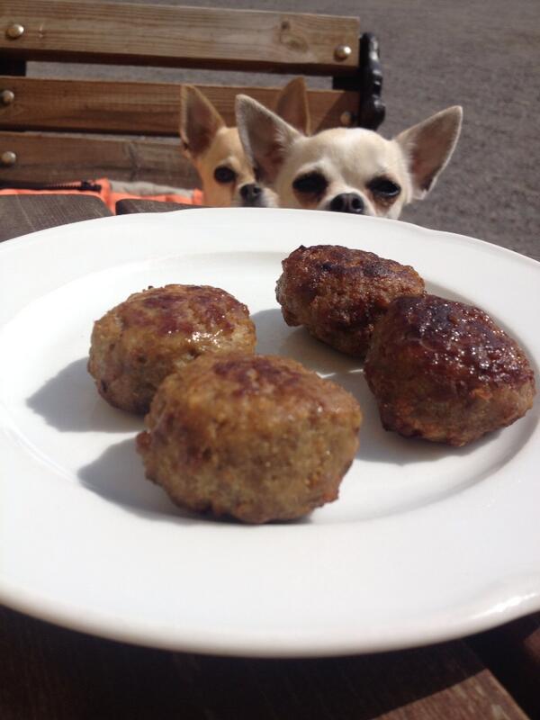 NaNi_Design's tweet photo. Is that our meat balls? #nanidogwear @boostturku #tuorla #lunch #startupjourney http://t.co/TQCYPK1qBc