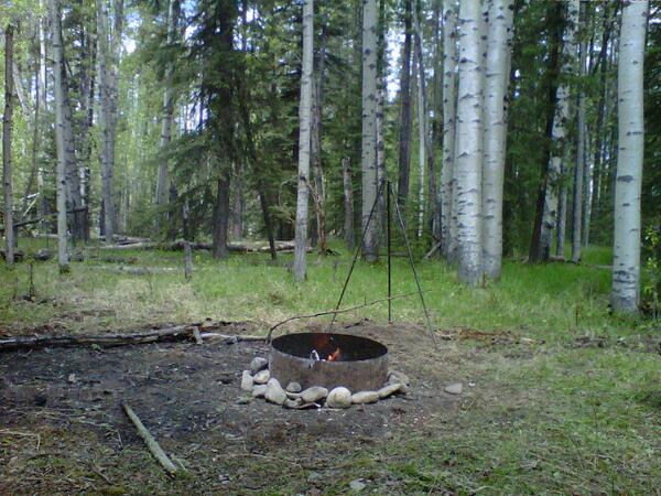 Darla_D's tweet photo. The forest :) I like the view. http://t.co/q4HJvyebi1