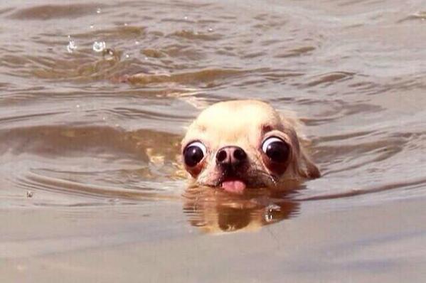When ya swimmin and suddenly touch seaweed with your toes