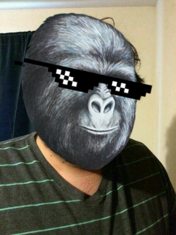 LuisOnAcid's tweet photo. @JosephACostello mornin' http://t.co/cAdMDssvcO