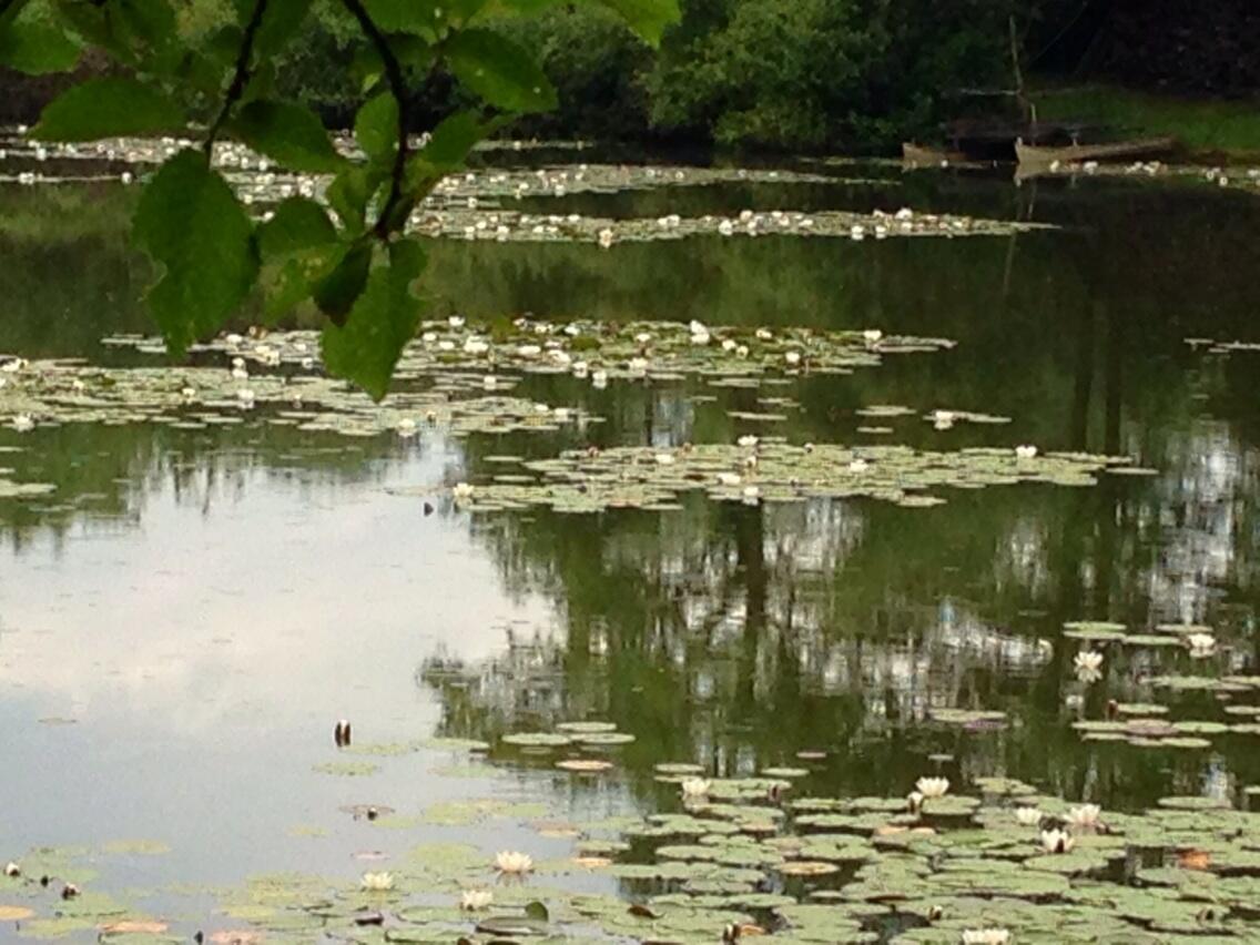 Permalien de l'image intégrée
