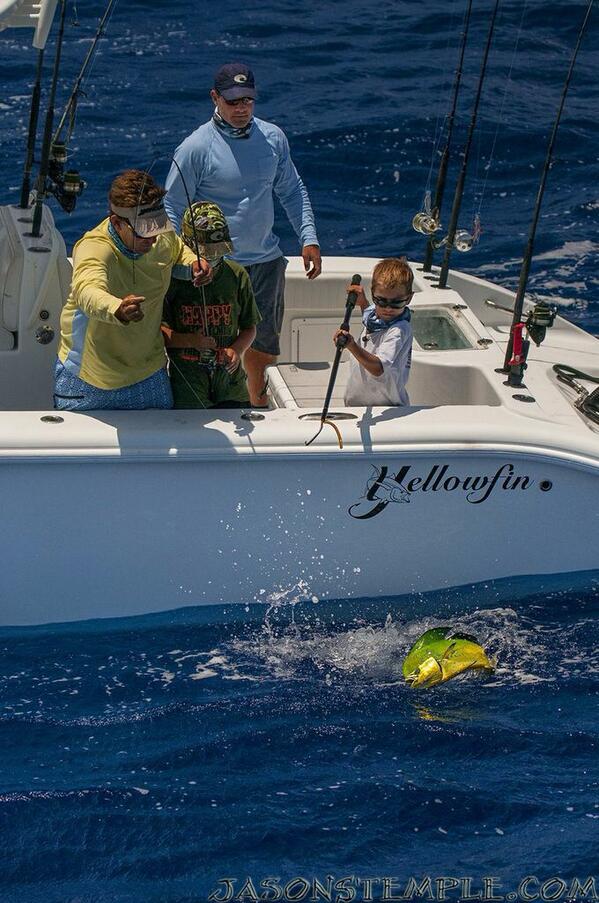 Saltwater Experience (@saltwaterexp) on Twitter photo Teaching them early. Seven year old Reed Tudor with the gaff. <a href="/QuantumTackle/">Quantum Fishing</a> <a href="/TrueFliesllc/">Peel-n-Eat Shrimp</a> <a href="/YellowfinUSA/">Yellowfin Yachts</a> Teaching them early. Seven year old Reed Tudor with the gaff. <a href="/QuantumTackle/">Quantum Fishing</a> <a href="/TrueFliesllc/">Peel-n-Eat Shrimp</a> <a href="/YellowfinUSA/">Yellowfin Yachts</a>