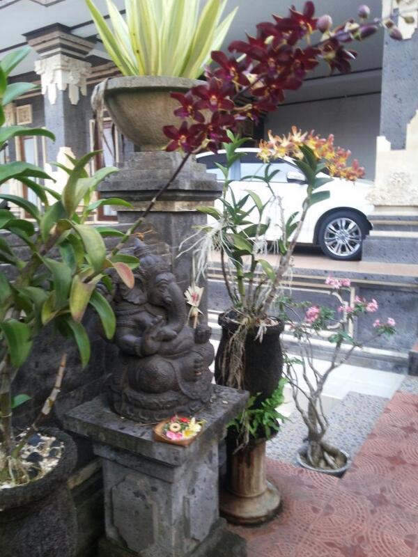 ig: sandiastinaputra (@sandiastinaputr) on Twitter photo 