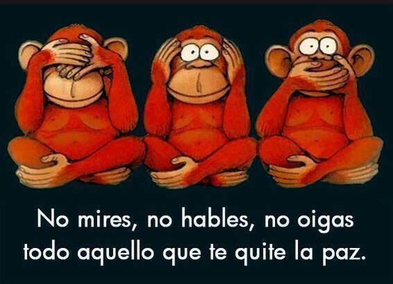 Belen Martin Samper (@belensamper) on Twitter photo 