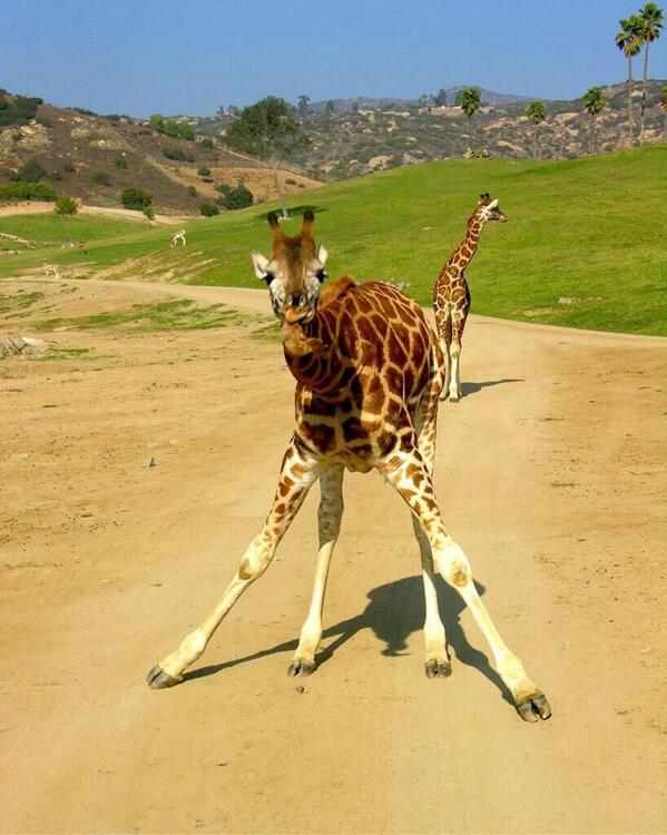 Ⓖⓡⓐⓗⓐⓜ tweet media