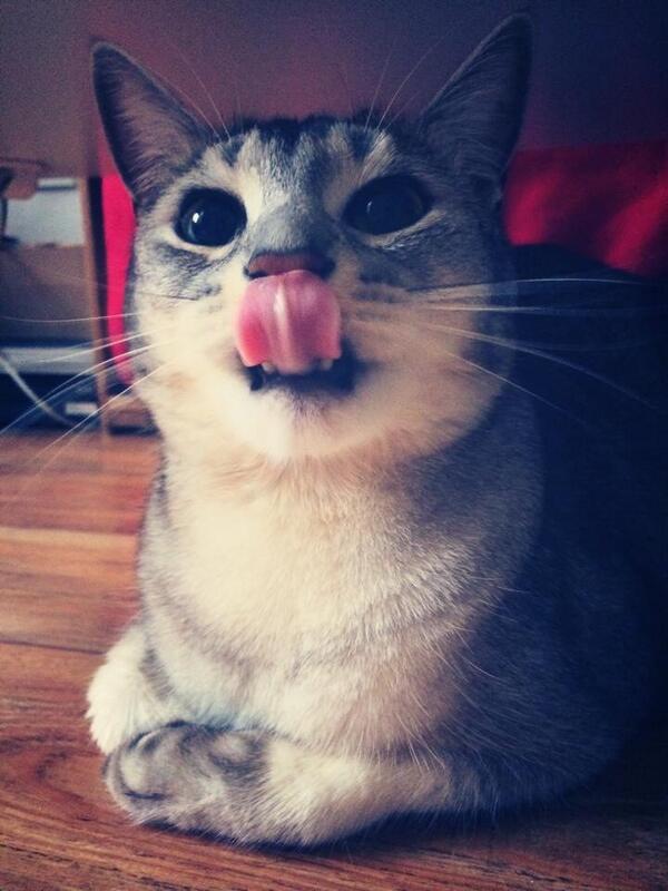 qizqizz's tweet photo. 메롱 http://t.co/1lWAVnqTYc