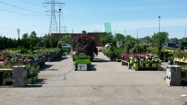 derekstinch's tweet photo. Beechmont #homedepot tree &amp; shrub corral locked and loaded for the weekend @KOKOLGM @therazorbacks89 http://t.co/F5jTxiltDV