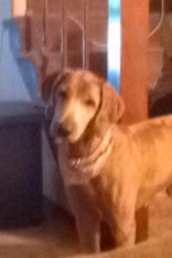 GoldenMiadoodle's tweet photo. When someone asks me if I'm on my period. http://t.co/xXy2RpkFFr