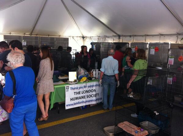 David_Dresser's tweet photo. @PetSmartChariTs weekend event going amazing! @Purina making many connections! 18 lives saved with many more to come! http://t.co/CR4QcUVZ4e