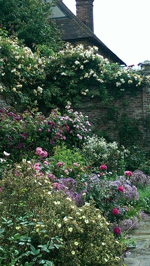 Rose garden looking amazing :) wish I could capture the scent