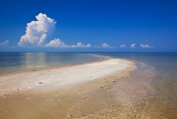 boatsetter's tweet image. Break from routine. #BoatSetter captains can take you to #sandbars and #fishing spots you didn’t know existed.