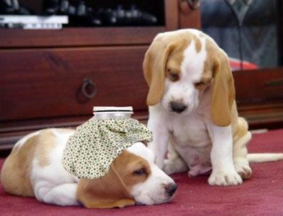 srone82's tweet image. Amigos y amigas regreso mas tarde, un poco enfermo estoy sigan mis ctas @Amigosdesrone82 y @srone82 son 100% #FBS GO!