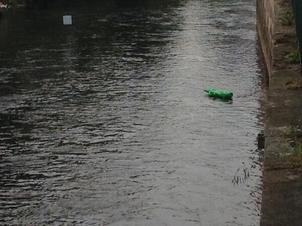 _A_GRO_'s tweet photo. @HAZ  #krokodilaufderleine #hilfe!! Ich habe ein Krokodil auf der Leine gesichtet! Höhe Flohmarkt Altstadt!!!! http://t.co/LVIGLn0CeD