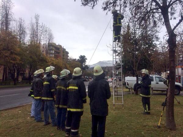 15feuerwehr's tweet photo. Curso de aspirantes realiza módulo de Escalas y traslado de material en nuestro cuartel. http://t.co/HExC1FTX6w