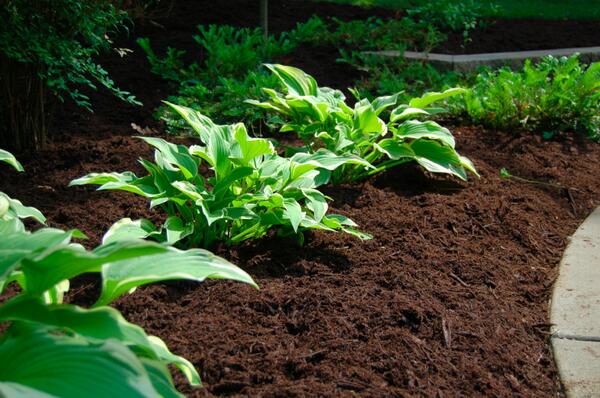 BrentwoodLandscapes tweet media