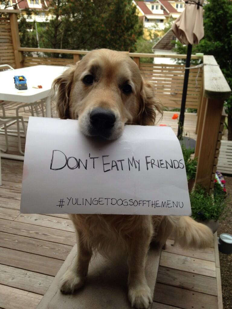 Stray Cat on X Dogs are not food. They are our best friends http t UTbcPoM2MH YulinGetDogsOffTheMenu X