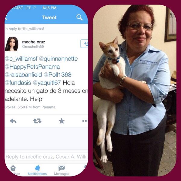 Happy Pets Panama tweet media