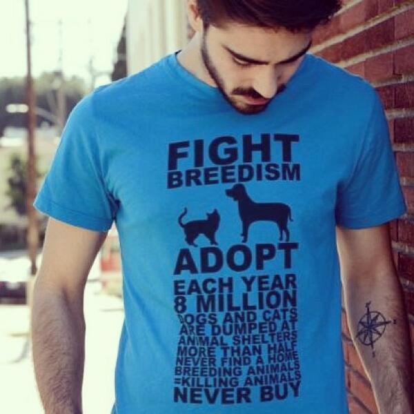 peta's tweet photo. For #AdoptAShelterCat Month, &amp; ALWAYS, RT if u know to #AdoptDontBuy!

Get the tee: http://t.co/xhjnS4vyN3 http://t.co/Er1jNCVtqf