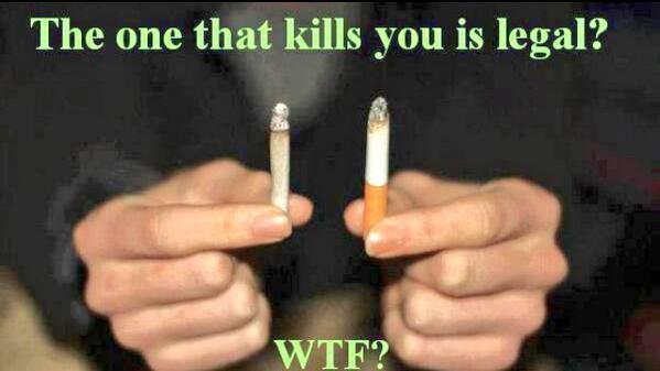 stillblazingtho tweet picture