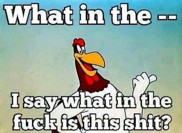 Buckeyesboy1980's tweet photo. "@UrbanKnowIedge: RT if this has happened to you! http://t.co/SHnEtle3hQ". Every fucking time http://t.co/Y392x8zDIR