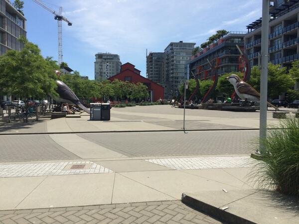JCaley91's tweet photo. “@HiddenCashYVR: OK, let's go! This clue... well, it's for the birds... http://t.co/Mf4G4OYE4i" to all my friend wholive in Olympic village.