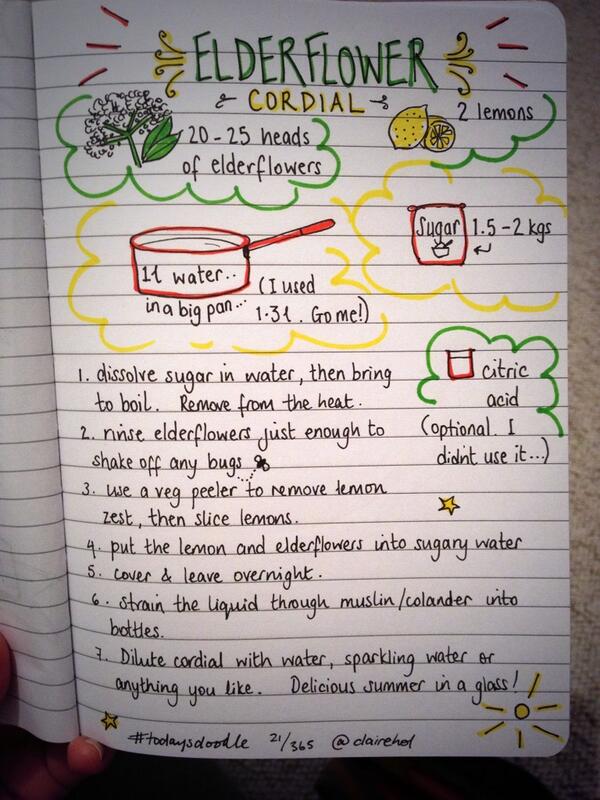 clairehol's tweet image. #todaysdoodle... A #sketchipe  (sort of) for my elderflower cordial... @100978Marc @carolinechapple @xLontrax
