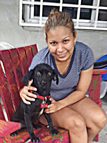Happy Pets Panama tweet media
