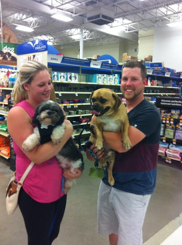 David_Dresser's tweet photo. What a great way to end Gigits day! Finding a potential forever home with our very own Danielle! #inspiredbypets http://t.co/ENkwuSiA8t