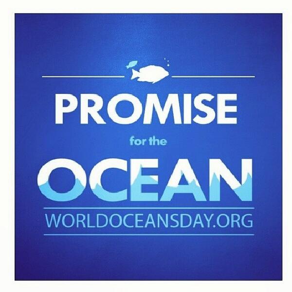 On Instagram? lovebirdblues just posted a photo and tagged #OceanAcidification