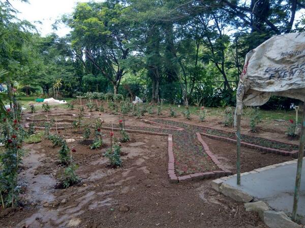 Embedded image permalink