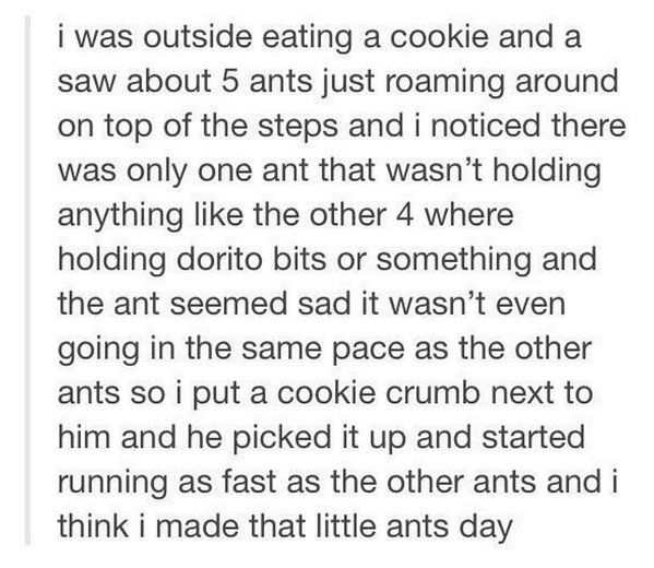 StumblerVideos's tweet image. This made my day