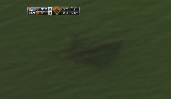 NBCSGiants's tweet photo. #RallyRay? RT @CaseyPrattCSN: This was just spotted in McCovey Cove by the @CSNGiants TV truck. Yikes. #SFGiants http://t.co/eRimgwlrNV