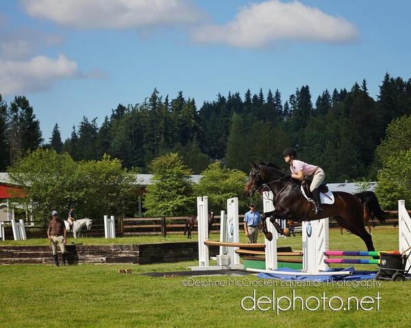 delphotonet's tweet photo. George H. Morris day 2. My daughter and Carly are doing great. #teamireland #equestrian #catchride #georgehmorris http://t.co/x9pMSwS2iH