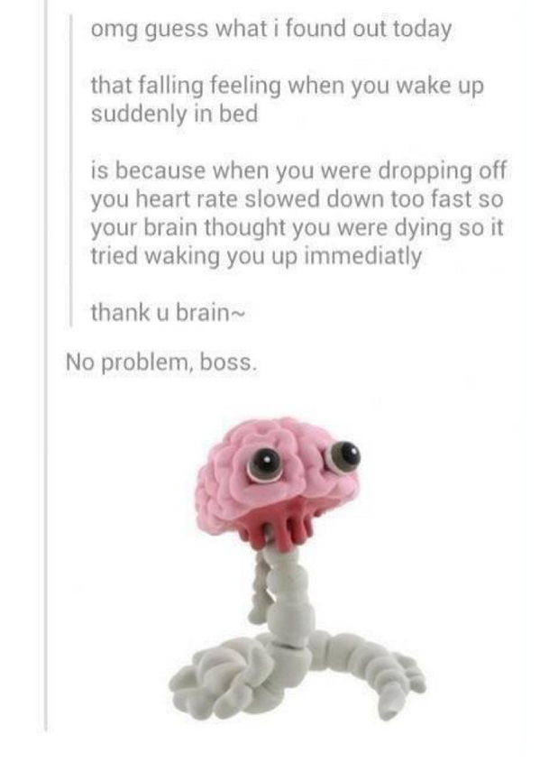 Thank you brain