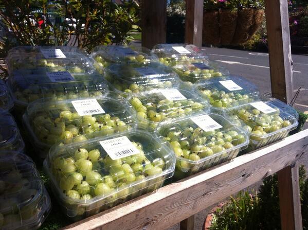 Or maybe even some gooseberries!