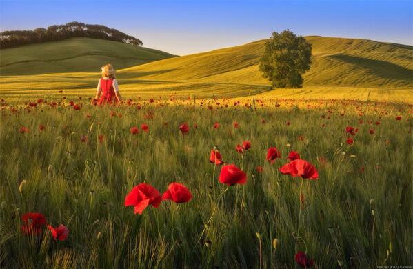 Gabriele Corno tweet media